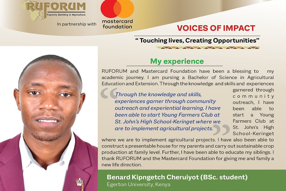 Voice of Impact