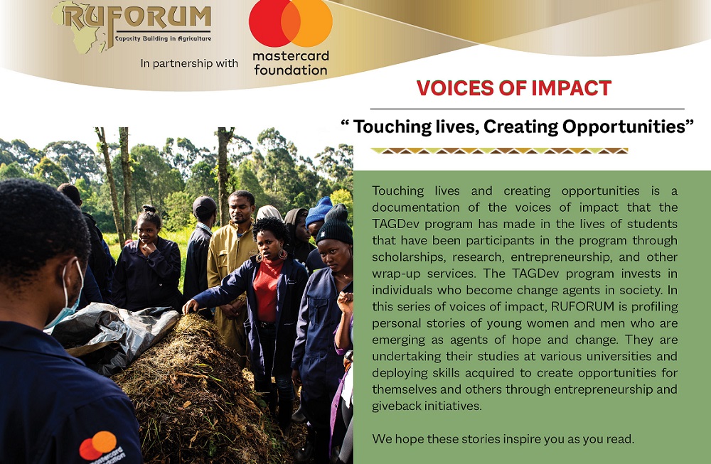 Voice of Impact