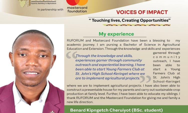 Voice of Impact