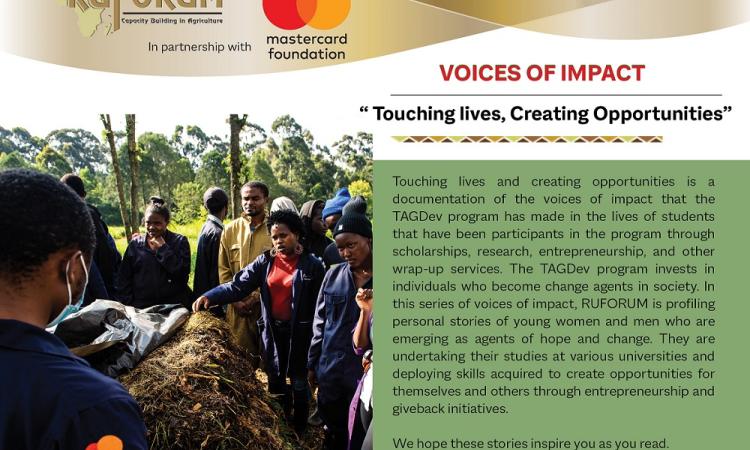 Voice of Impact
